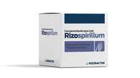 Fertilizante Rizospirillum