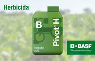 Herbicida Pivot® H
